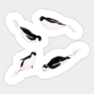 Penguin Class2 Sticker